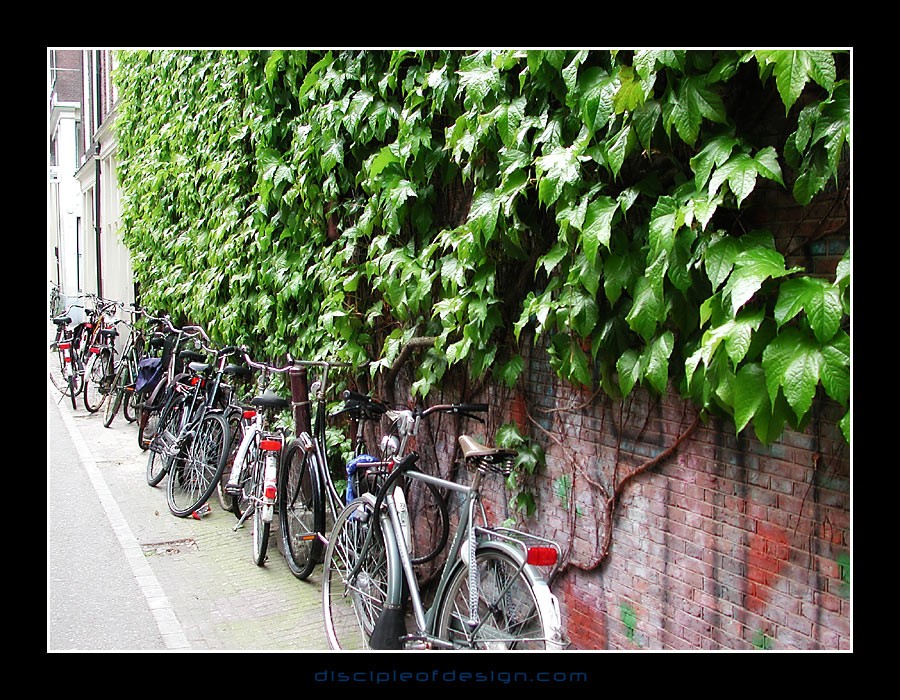 bikes01