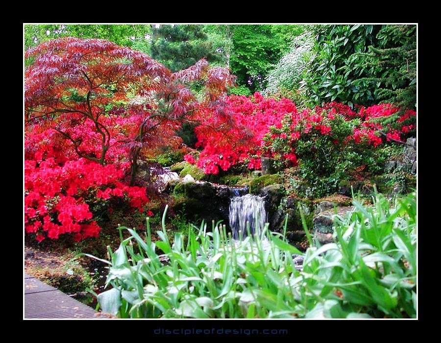 keukenhof02