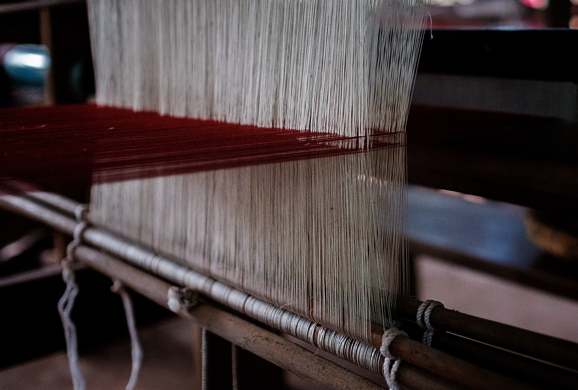 silk24b
