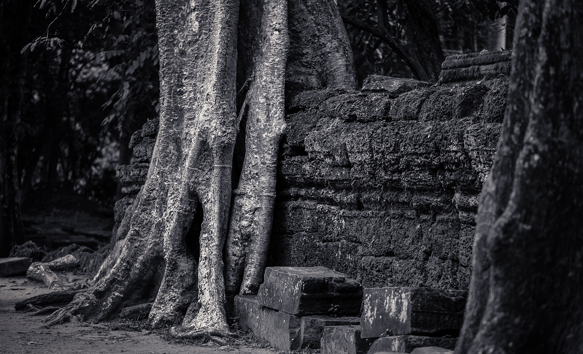 taprohm63b