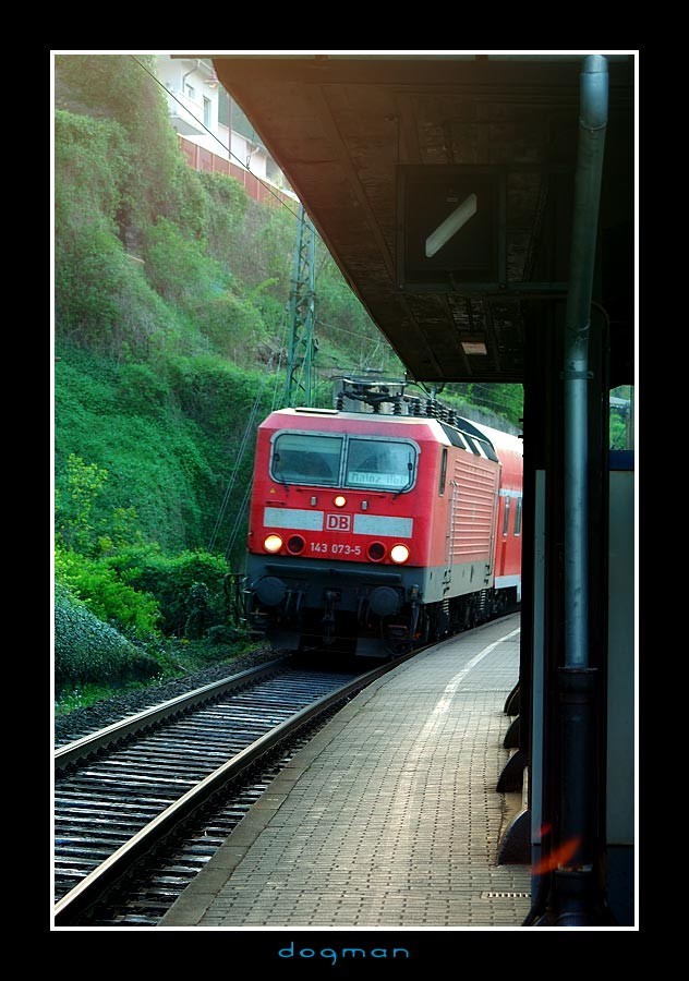 stgoar04