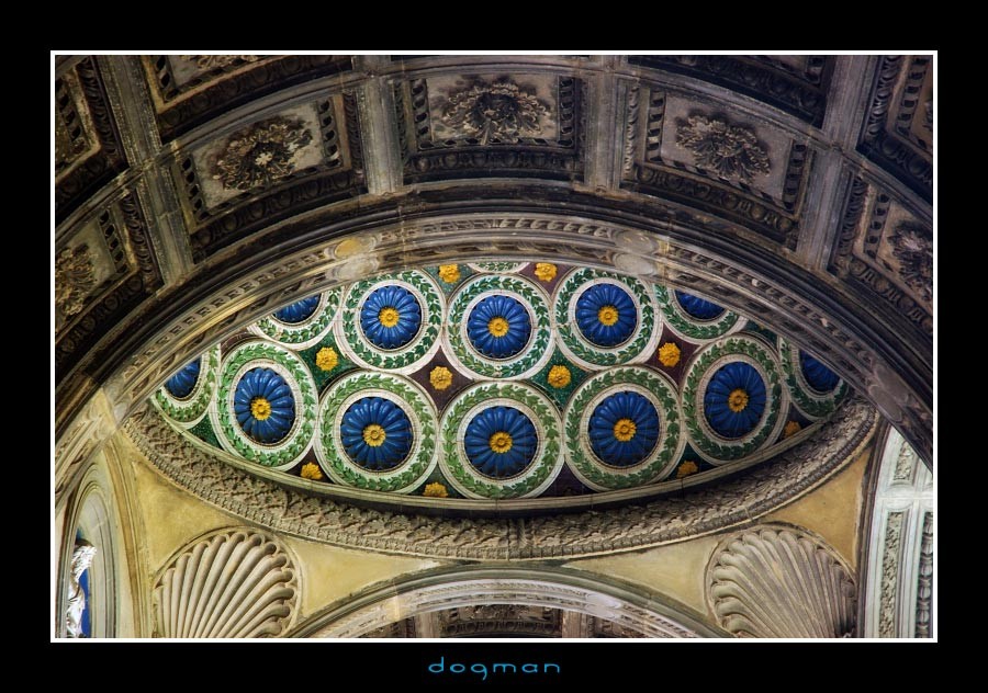 florence28