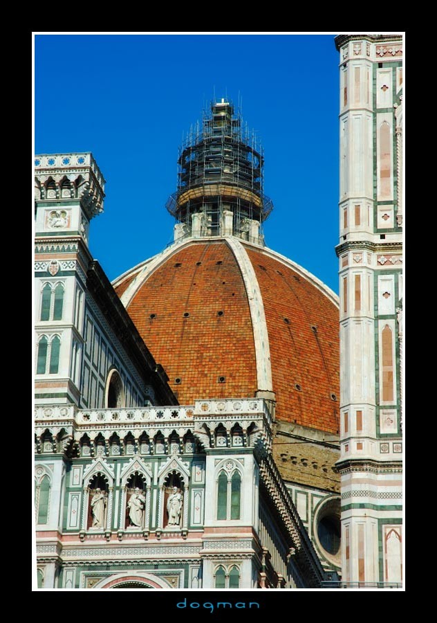 florence65