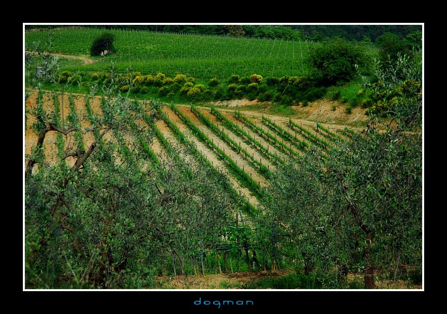 monteriggioni01