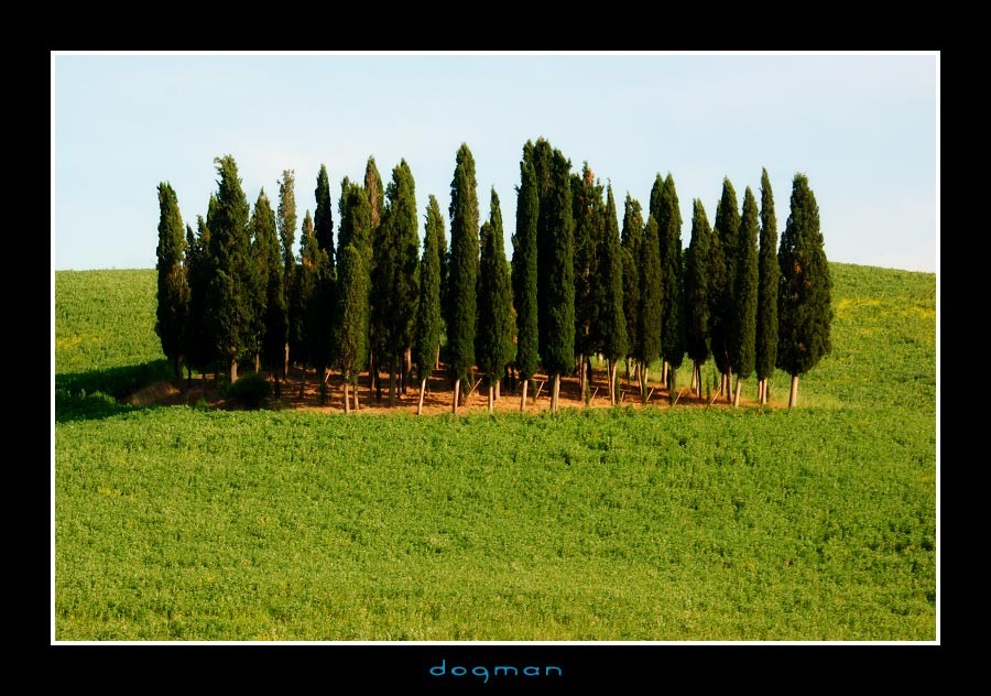 tuscancountry09