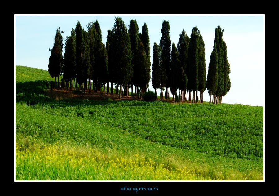 tuscancountry10