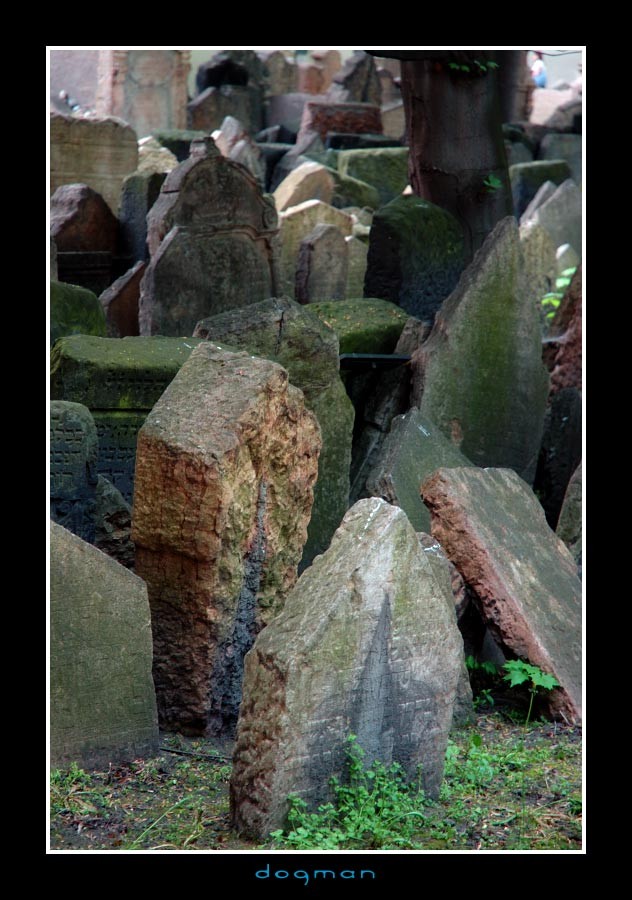cemetery02