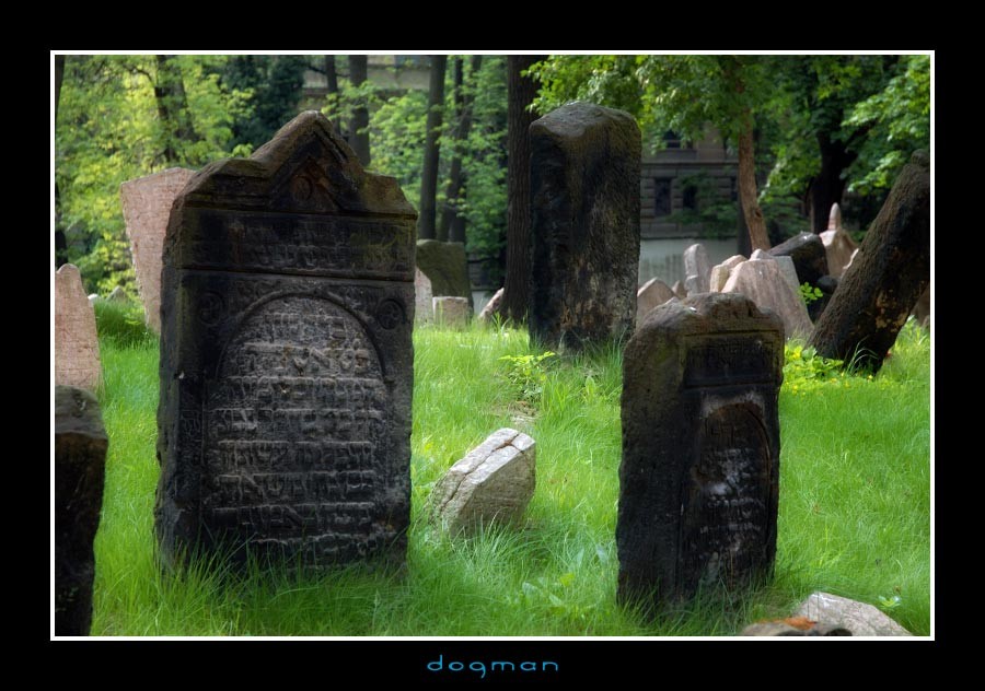 cemetery15