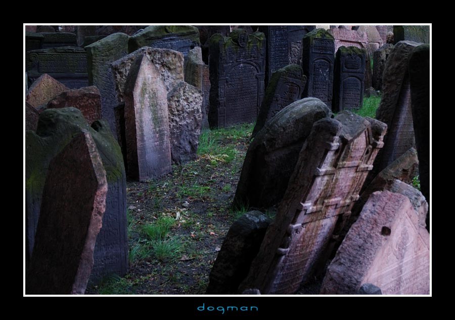 cemetery37