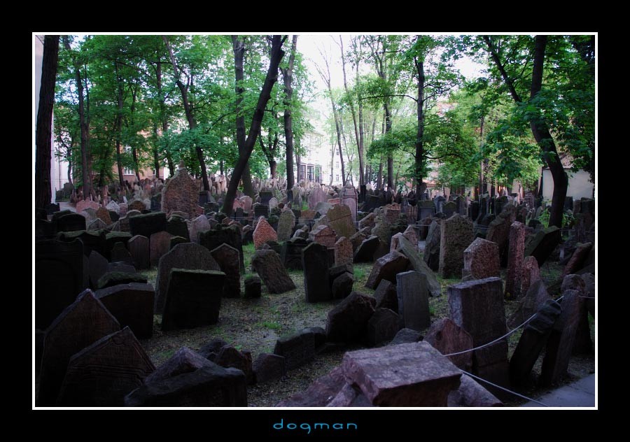 cemetery42
