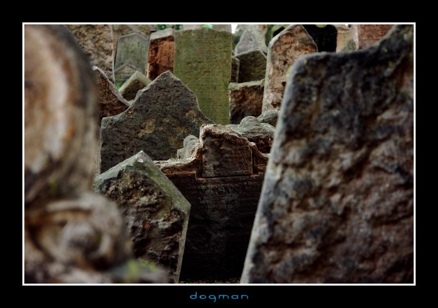 cemetery44