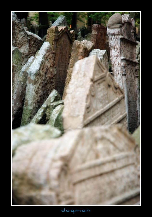 cemetery49