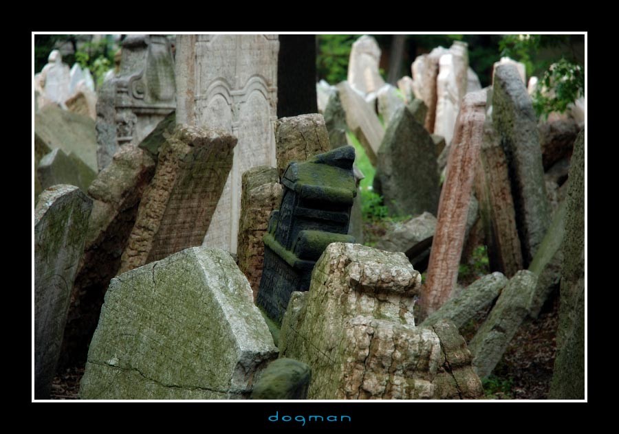 cemetery52