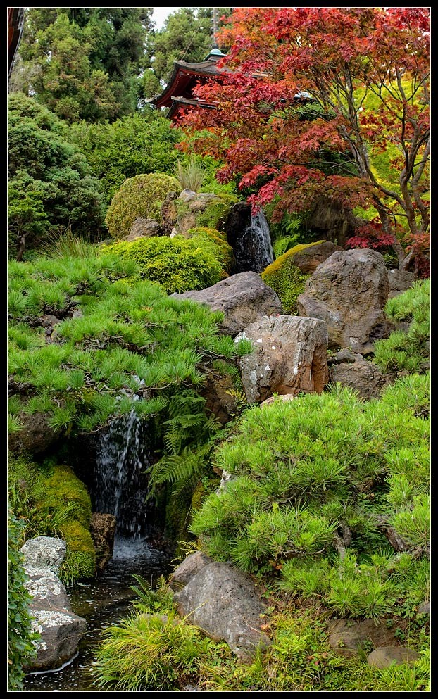 sfgarden11