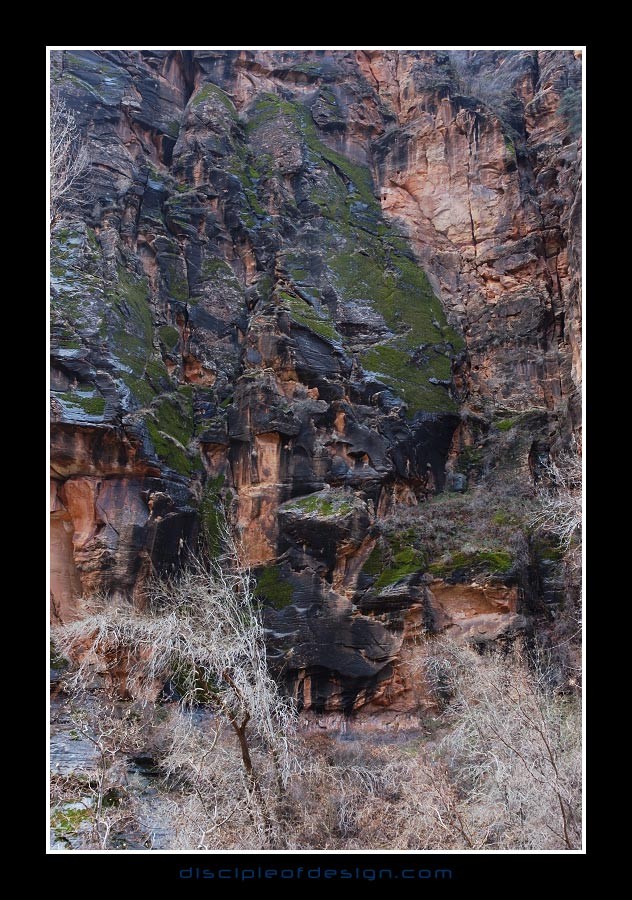 zion14