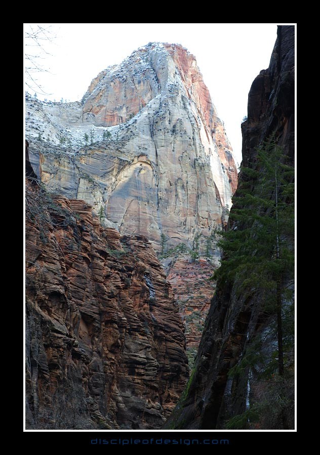 zion17