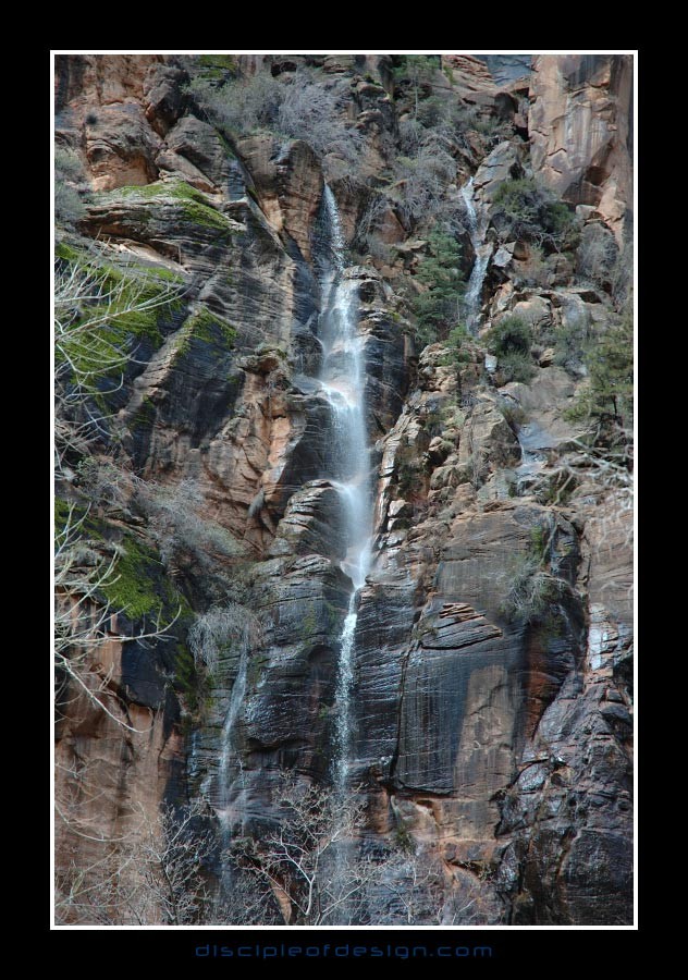 zion20