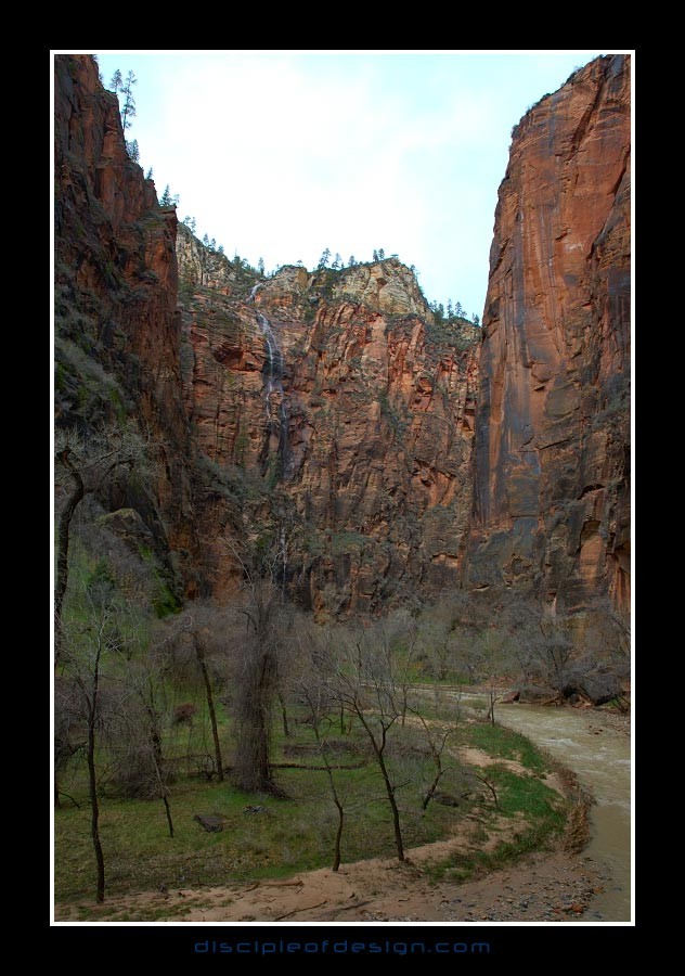 zion25