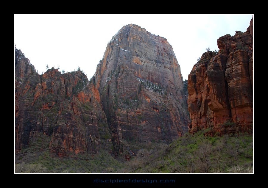 zion36