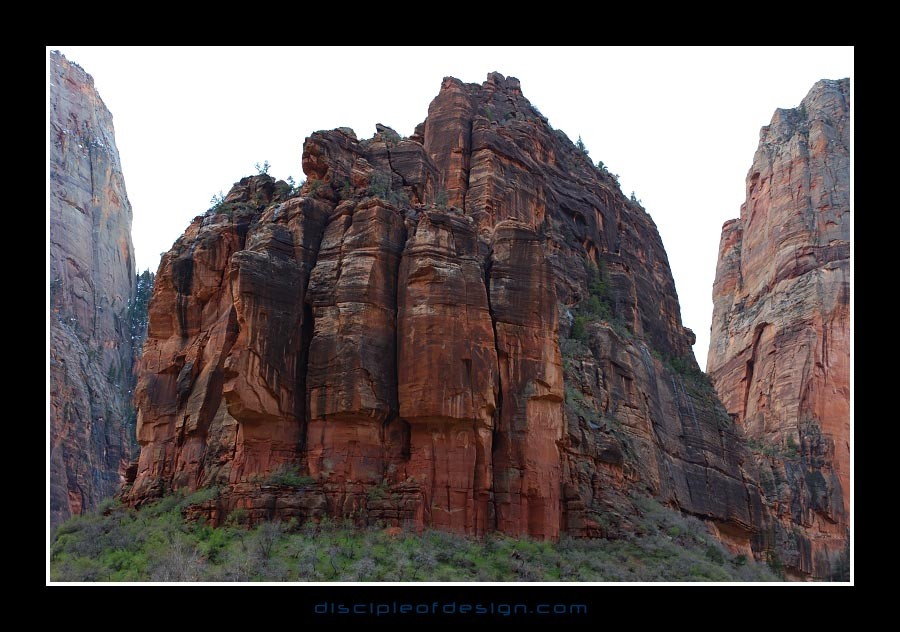 zion37