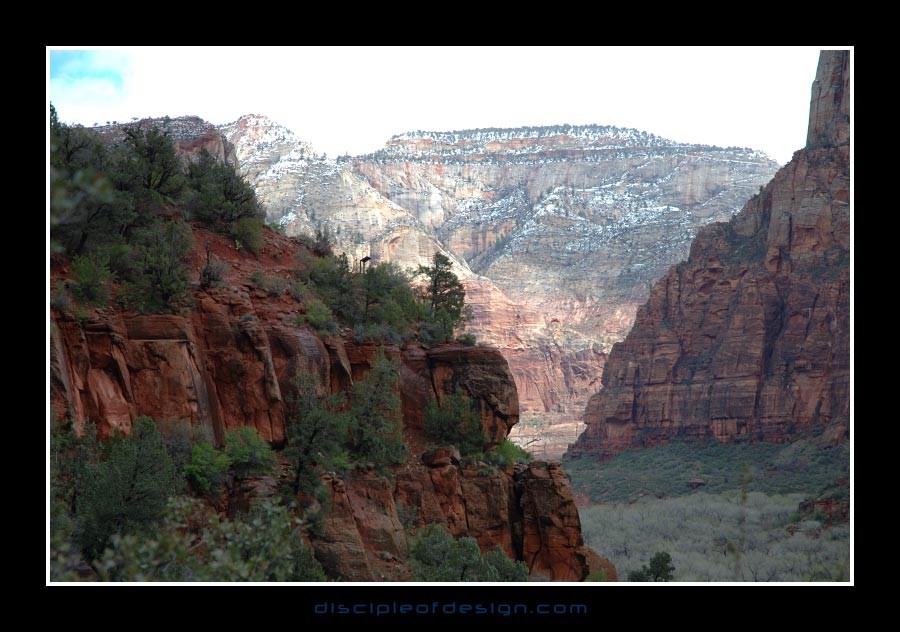 zion44