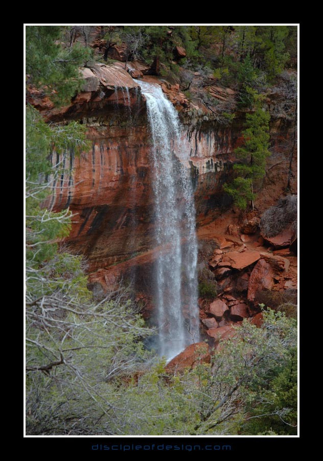 zion49