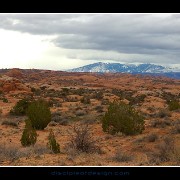 arches11