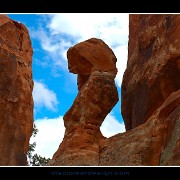 arches29