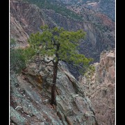 gorge02