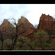 zion05