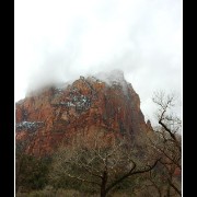 zion06