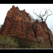 zion08
