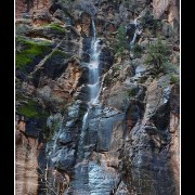 zion11