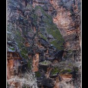 zion14