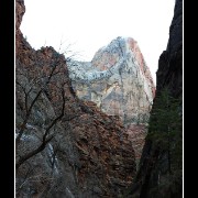zion16