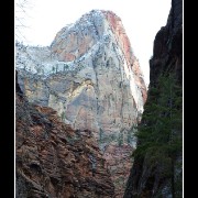 zion17