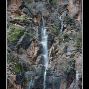 zion20