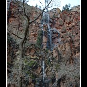 zion21