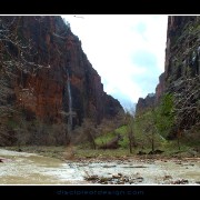 zion24