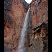 zion31