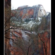 zion33