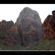 zion36