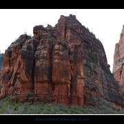 zion37