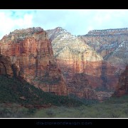 zion41