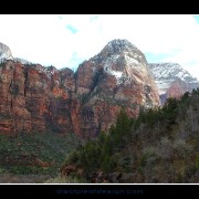 zion42