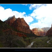 zion43