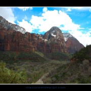 zion45