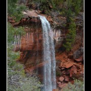zion49