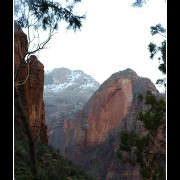 zion50