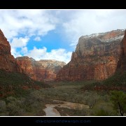 zion51